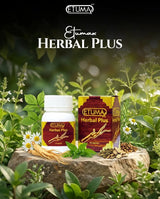 Etumax Herbal Plus – 30 Capsules | Premium Tongkat Ali Supplement for Men - 12 Bottles
